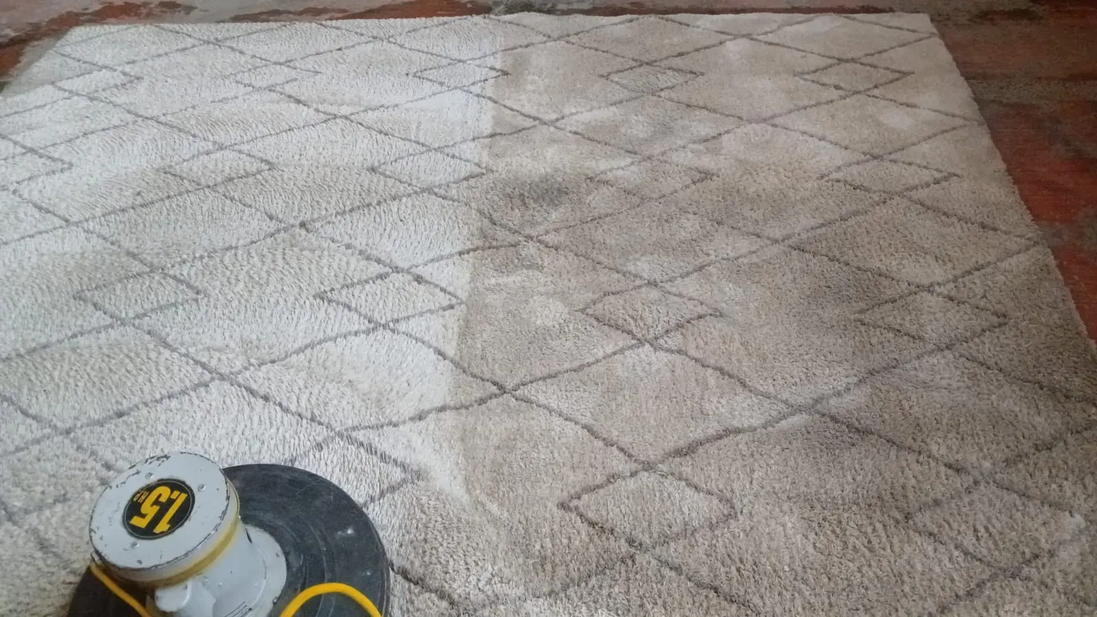 Servicio de Lavado de Tapetes MGCleanogar en León y San Pedro